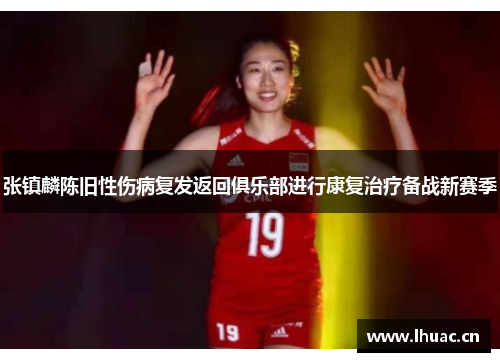 张镇麟陈旧性伤病复发返回俱乐部进行康复治疗备战新赛季